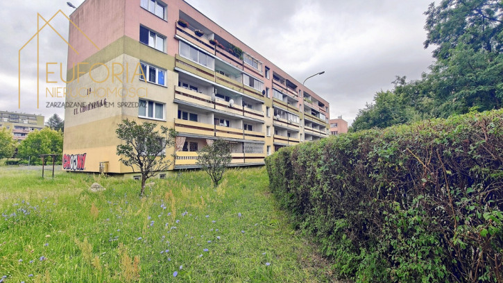 Mieszkanie Wynajem Łódź Chóralna 11
